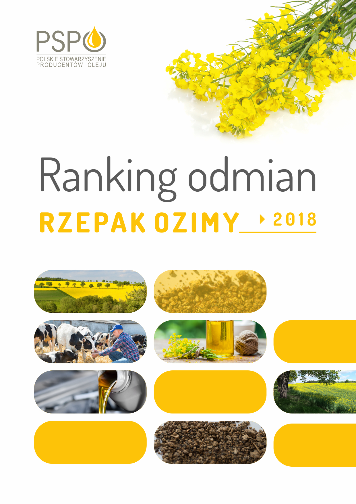 Ranking Odmian Rzepaku 2018