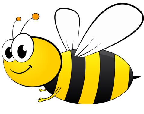 Pszczoły ważne dla producentów rzepaku nie tylko w Wielki Dzień Pszczół